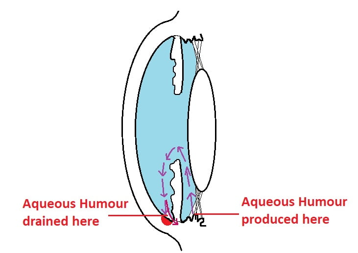 intraocular-pressure-eye-pressure-dr-srilekha-pallamparthy